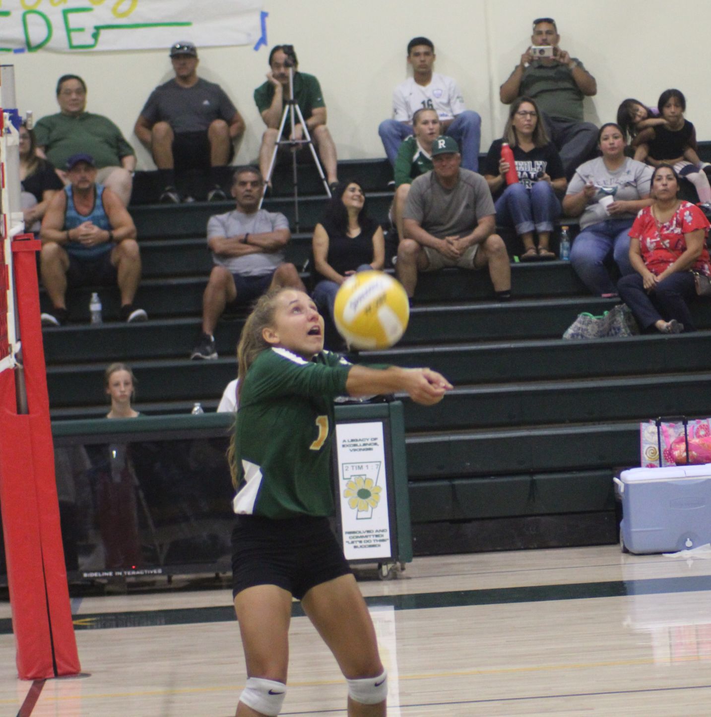 Vikings sweep the Pirates